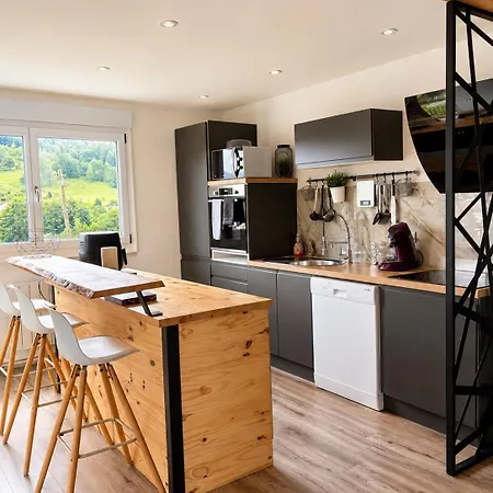 Vosges Appartement